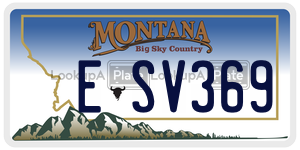 ESV369  license plate in MT