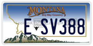 ESV388  license plate in MT
