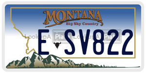 ESV822  license plate in MT