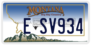 ESV934  license plate in MT