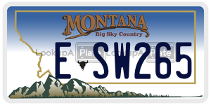 ESW265 license plate in Montana