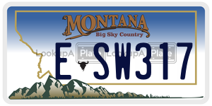 ESW317  license plate in MT
