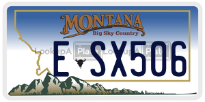 ESX506 license plate in Montana
