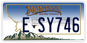 ESY746  license plate in MT