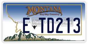 ETD213  license plate in MT