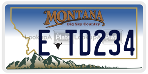 ETD234  license plate in MT