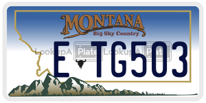 ETG503  license plate in MT