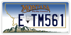 ETM561  license plate in MT