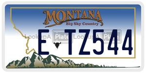 ETZ544  license plate in MT