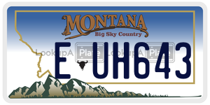 EUH643  license plate in MT