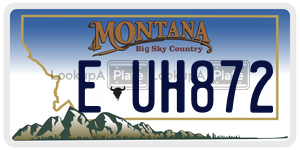 EUH872  license plate in MT