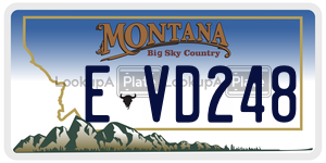 EVD248  license plate in MT