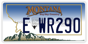 EWR290  license plate in MT