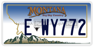 EWY772  license plate in MT