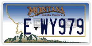 EWY979  license plate in MT