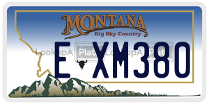 EXM380  license plate in MT