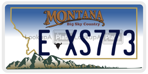 EXS773  license plate in MT