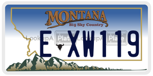 EXW119  license plate in MT