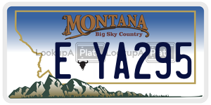 EYA295  license plate in MT