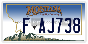 FAJ738  license plate in MT