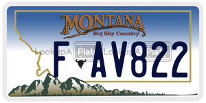 FAV822  license plate in MT