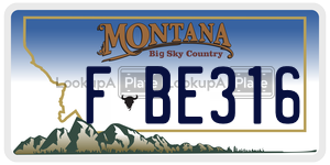 FBE316  license plate in MT