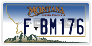 FBM176  license plate in MT