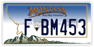 FBM453  license plate in MT