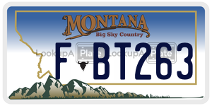 FBT263  license plate in MT