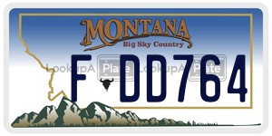 FDD764  license plate in MT