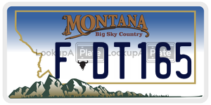 FDT165  license plate in MT