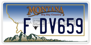 FDV659  license plate in MT