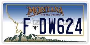 FDW624  license plate in MT