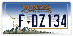 FDZ134  license plate in MT