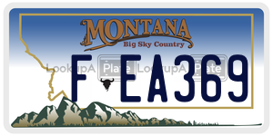 FEA369  license plate in MT