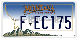 FEC175  license plate in MT