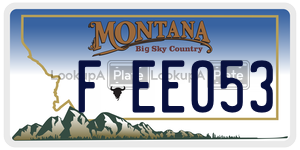 FEE053  license plate in MT