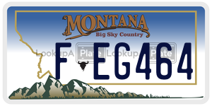 FEG464  license plate in MT