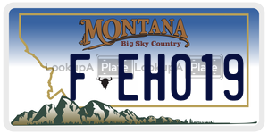 FEH019  license plate in MT