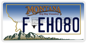 FEH080  license plate in MT