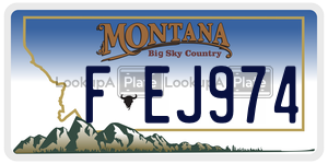FEJ974  license plate in MT