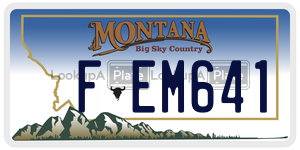 FEM641  license plate in MT