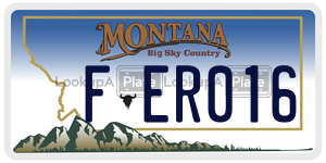FER016  license plate in MT