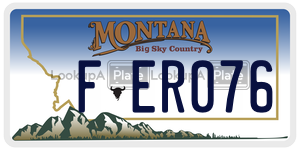 FER076  license plate in MT
