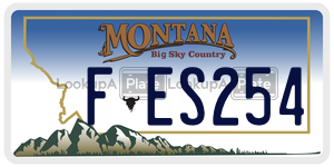 FES254  license plate in MT