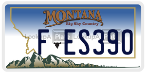 FES390  license plate in MT