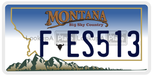 FES513  license plate in MT