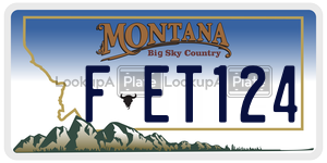 FET124  license plate in MT