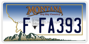 FFA393  license plate in MT