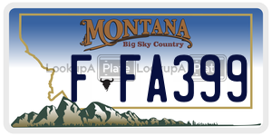 FFA399  license plate in MT